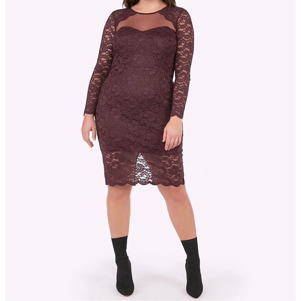 EXPRESS CABERNET XS Long Sleeve Lace Sheath Midi Dress